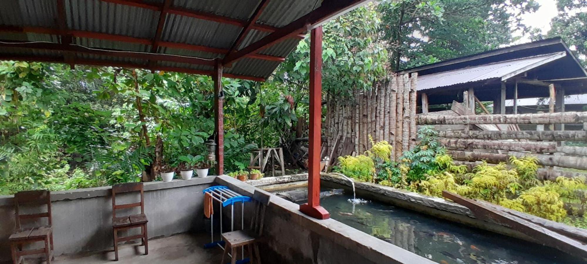 Renny'S Tangkoko Safety Stop Bitung Ngoại thất bức ảnh